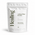 Asthma Plant Powder (Euphorbia hirta) – 100% Natural
